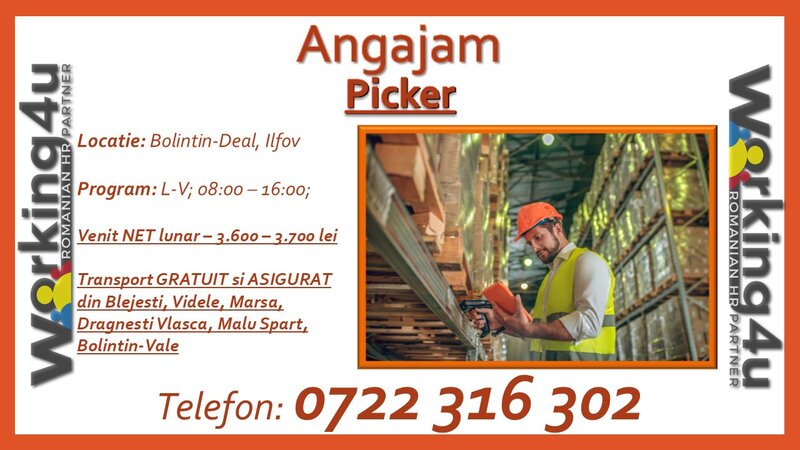 Picker Depozit Mobilier de Gradina