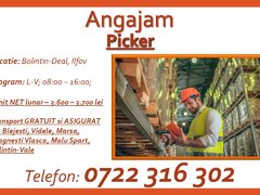 Picker depozit mobilier de gradina